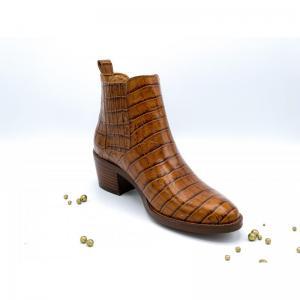 COCO CONGO CAMEL CAMEL