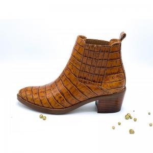COCO CONGO CAMEL CAMEL