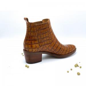 COCO CONGO CAMEL CAMEL