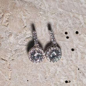 ZC COLLECTION EARRING DORIEN ZILVER