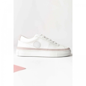APLS LOW ANTIQUE ROSE ROOS