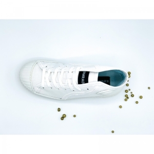 ICNS PARTIZAN WHITE WIT