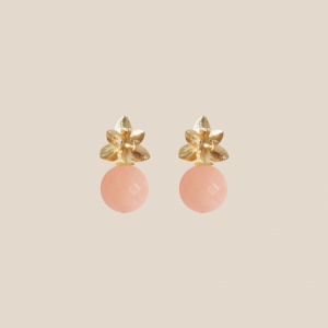 MARE APRICOT ABRIKOOS