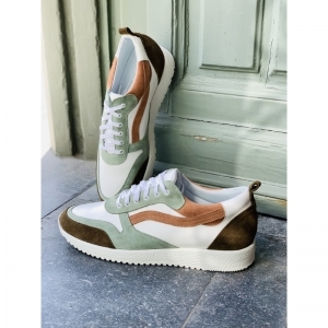 ROOS OLIVE OLIVE