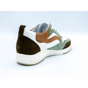 ROOS OLIVE OLIVE