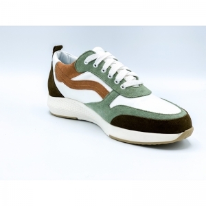 ROOS OLIVE OLIVE
