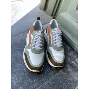 ROOS OLIVE OLIVE