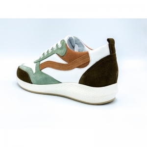 ROOS OLIVE OLIVE