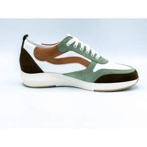 ROOS OLIVE OLIVE
