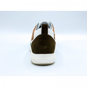 ROOS OLIVE OLIVE
