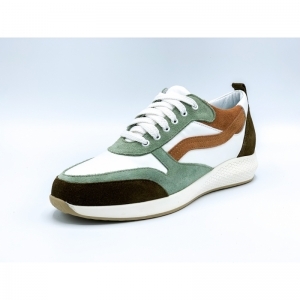 ROOS OLIVE OLIVE