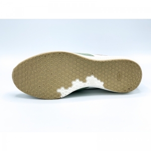 ROOS OLIVE OLIVE