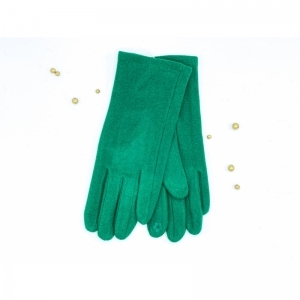 Gras Groen GROEN