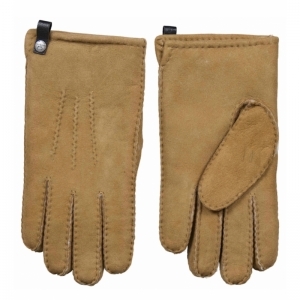HEREN CAMEL