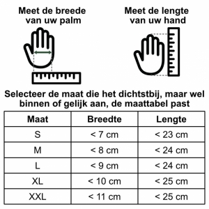 DAMES CAMEL