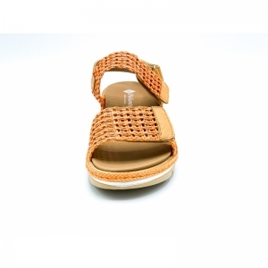 TRENZA APRICOT ORANJE