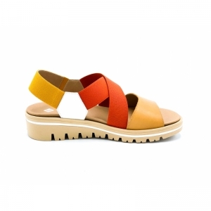 PECAN BRASIL ROOD