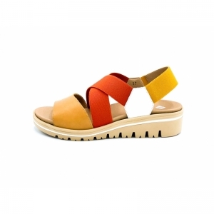 PECAN BRASIL ROOD