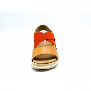 PECAN BRASIL ROOD