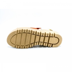 PECAN BRASIL ROOD