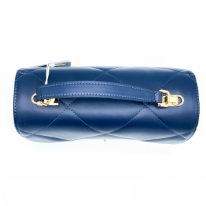 CAROL2 BLAUW