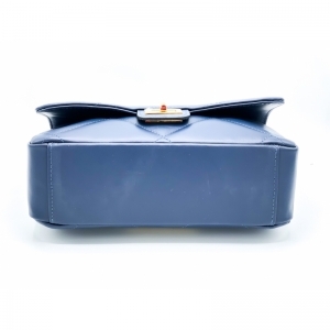 CAROL2 BLAUW