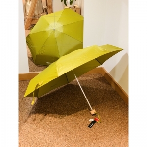 UMBRELLA SHORT GROEN