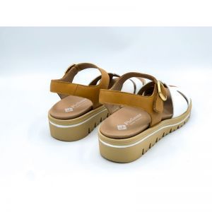 250775 WIT