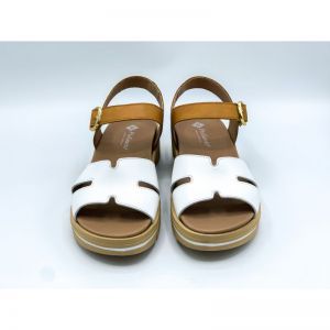 250775 WIT