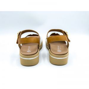 250775 WIT