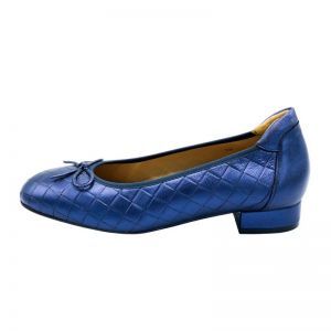 250304 BLAUW