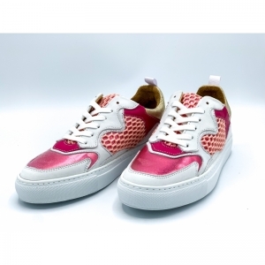 WINNIE ROZE ROZE