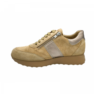255756 CAMEL